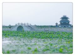 -呼兰河口湿地公园