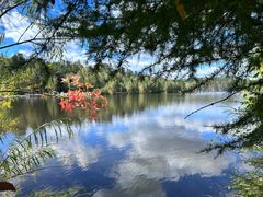 -五营红松林海景区