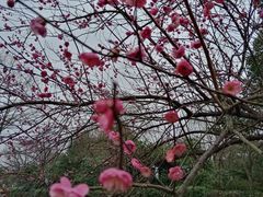 -南北湖风景区