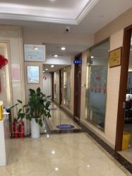 -碧莲盛·不剃发植发