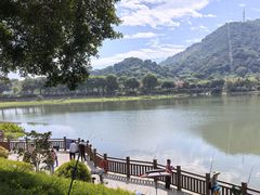-风云岭森林公园