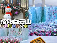 -洛阳白云山景区