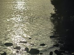-深圳湾公园(南山区)