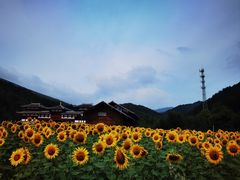 -道须沟旅游风景区