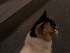 -江湖边·小生活