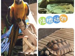 -海合安天津极地海洋公园