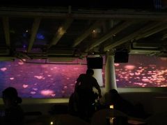 -CLUB VIVA(购物公园店)