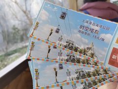 -上海海昌海洋公园