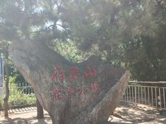 -府君山公园
