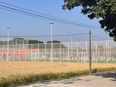 -嘉北郊野公园