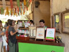 -大象粑粑造纸公园