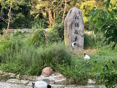 -杭州野生动物世界