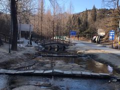 -白水寺森林公园