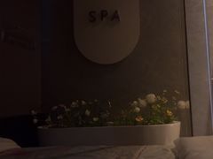 -小仙女采耳·按摩·SPA(深圳旗舰店)