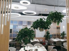 -芭夯兔·兔肉汤锅(新都店)