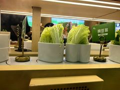 -一围肥牛小火锅(高铁吾悦店)