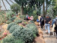 -南通洲际绿博园