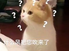 -澜悦港海鲜体验主题餐厅