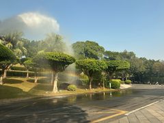 -广州莲花山旅游区