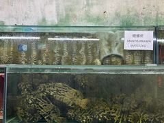 -双天海鲜楼