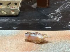 -荣一代目OMAKASE板前料理