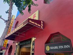 -食为先(Shark Fin)