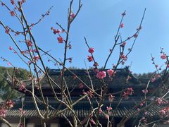 -宁波市保国寺古建筑博物馆