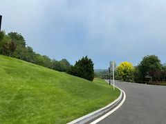 -棒棰岛宾馆景区