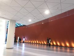 -成都金融城演艺中心