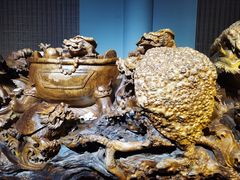 -江湾神木园