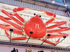 -蟹道乐(道顿堀本店)