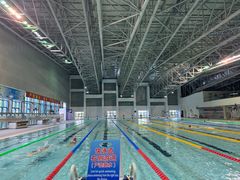 -奥林匹克体育中心游泳馆