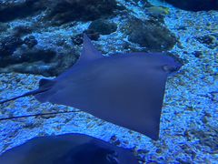 -海合安武汉极地海洋公园