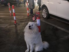 -麦德龙(湖里店)