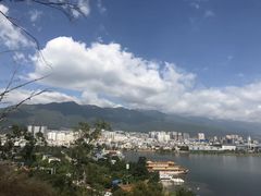 -洱海月湿地公园
