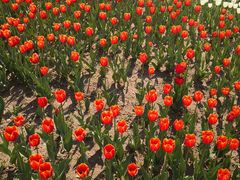 -长春公园(普阳街道)