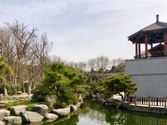 -中国唐苑