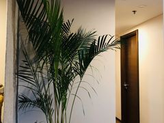 -仰生如卉推拿养生馆(酒仙桥店)