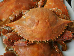 android_upload_pic-鲁前海沿儿