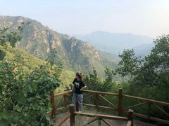 -大岭沟猕猴桃谷风景区