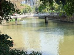 -晓港公园