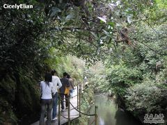 -祁门牯牛降观音堂风景区