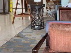 -上海崇明金茂凯悦酒店