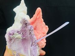 -柠檬车露(卖草地店)