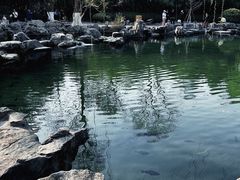 -趵突泉景区