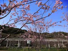 -苏州上方山国家森林公园