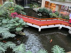 -广州白天鹅宾馆