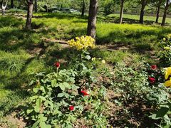 -元大都城垣遗址公园