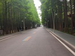 -日照海滨国家森林公园