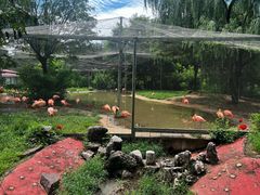 -石家庄市动物园